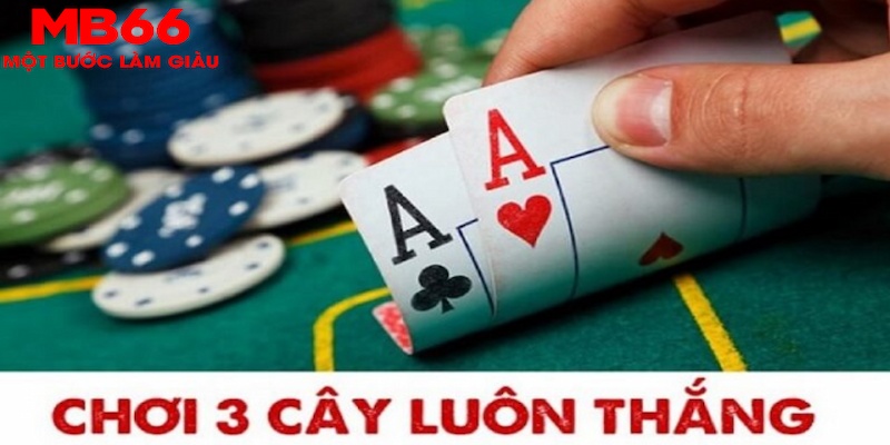 95win SA Trực Tuyến