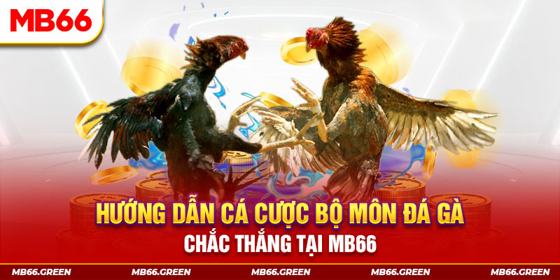 95win CQ9 Điện Tử