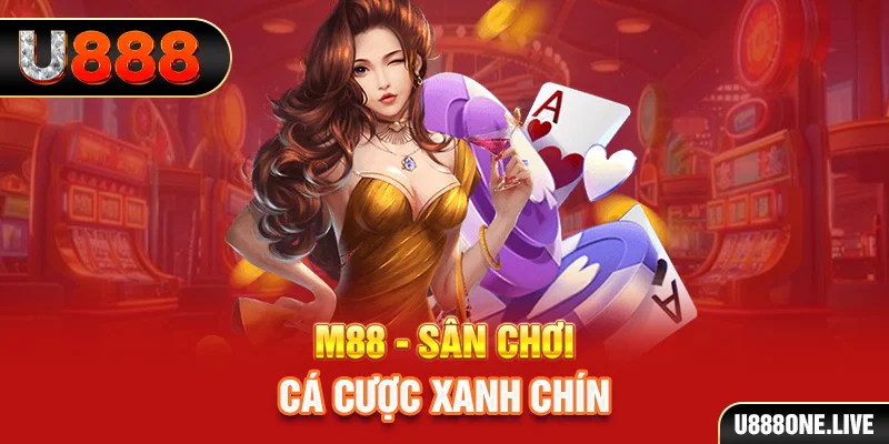95win gà chọi cậu thanh