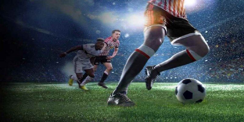 95win đá gà trực tiếp hôm nay