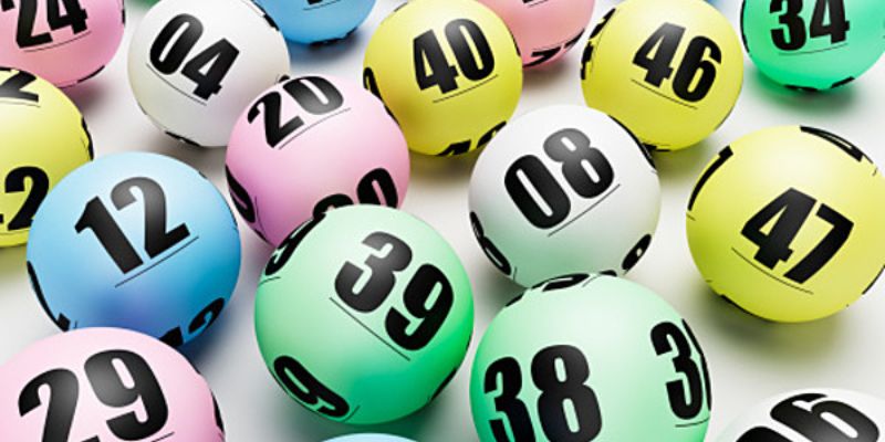 95win gà chọi cam ranh