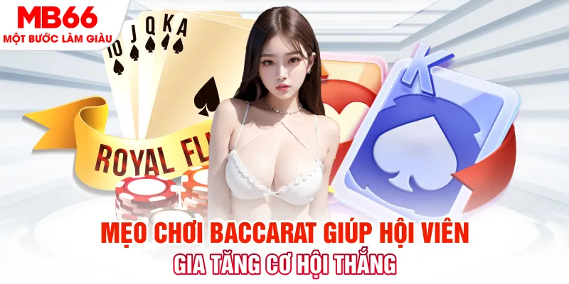 95win đá gà 88