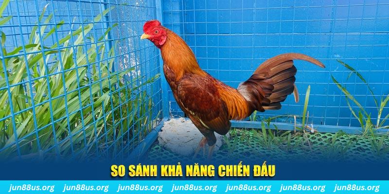 95win xổ số tiền giang