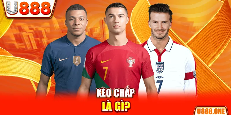 95win chổi lông gà