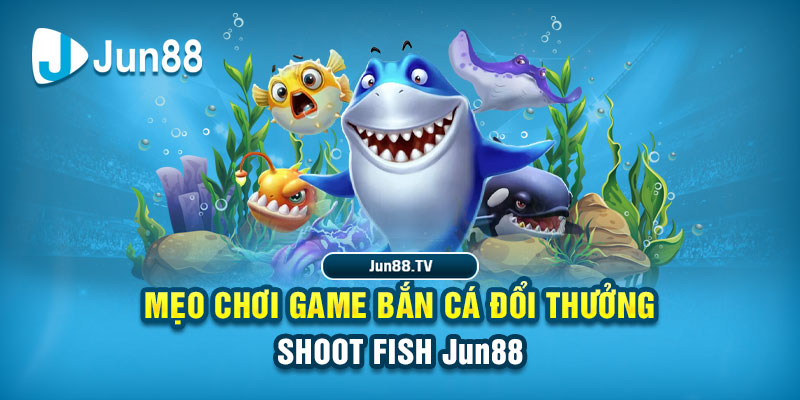 95win tai game danh bai bigkool ve may tinh