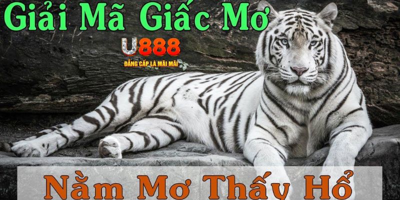 95win xổ số kiến thiết miền bắc