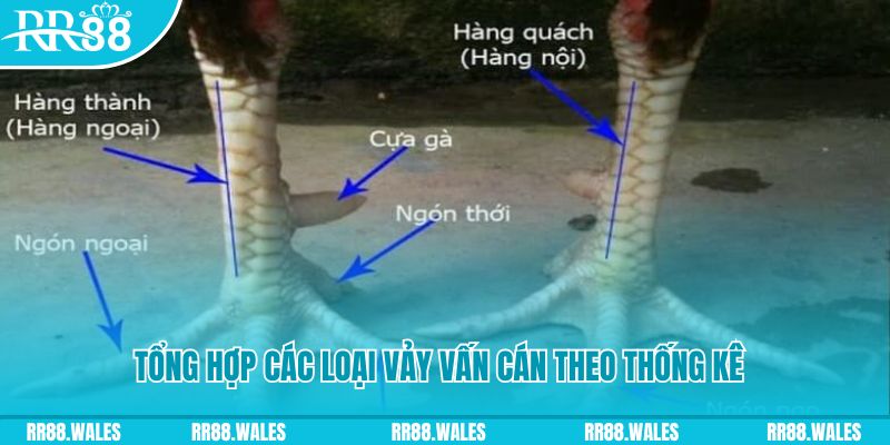 95win nổ hũ chơi như thế nào