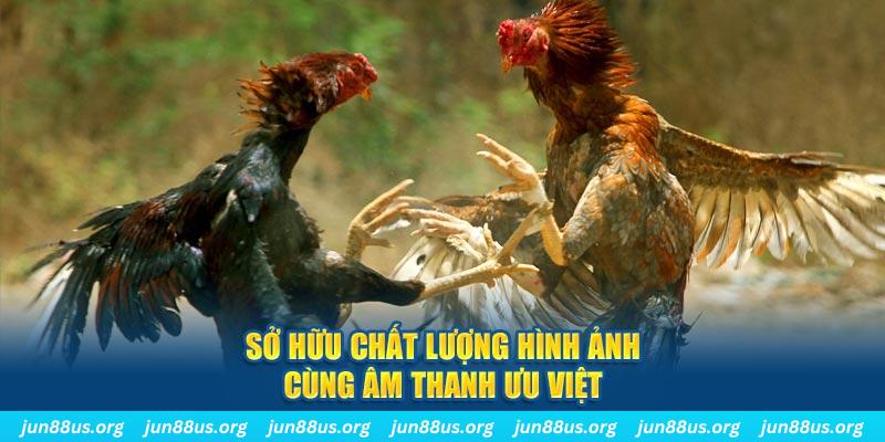95win tai game danh bai ve may tinh