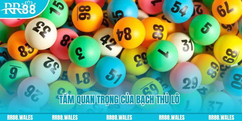 95win đá gà trực tiếp casino