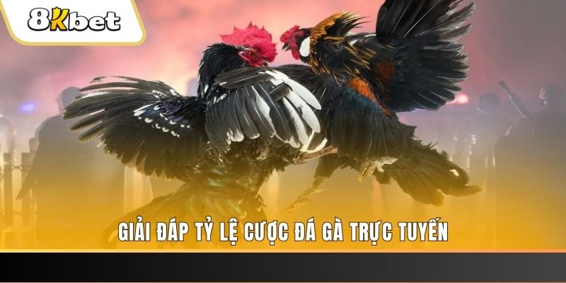 95win xổ số ba đài