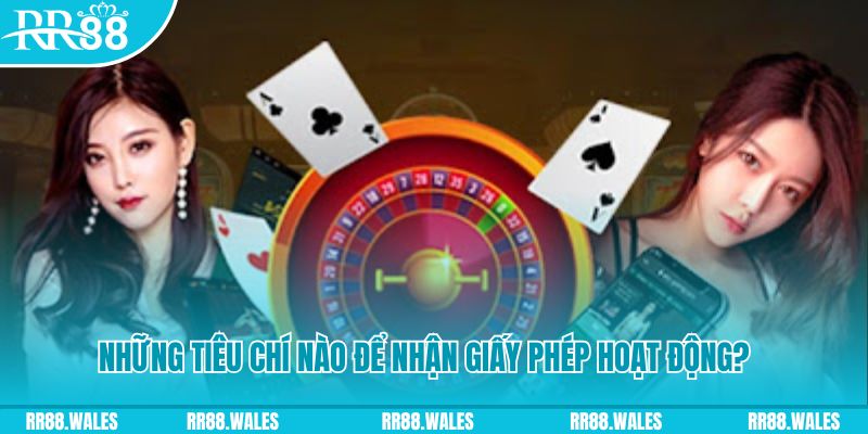 95win casino ở đâu