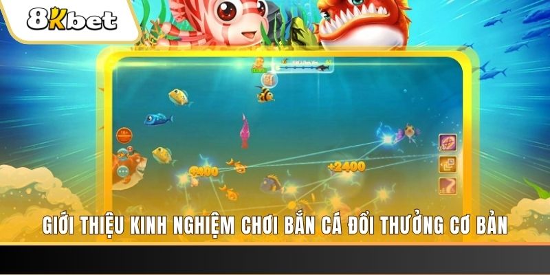 95win 8 bí ẩn chơi nổ hũ ít ai biết