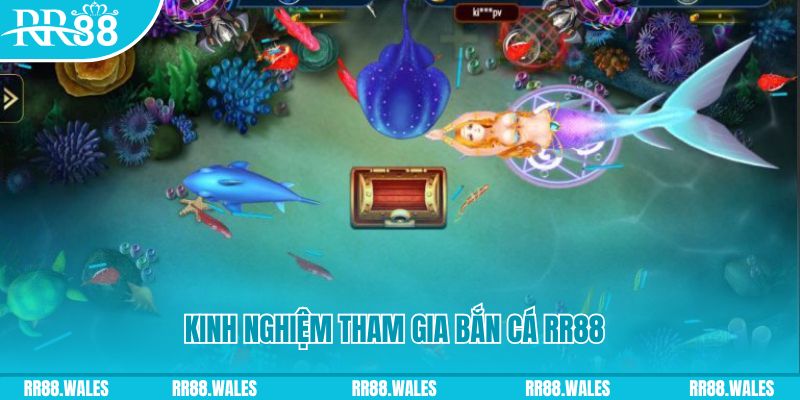 95win một slot là gì