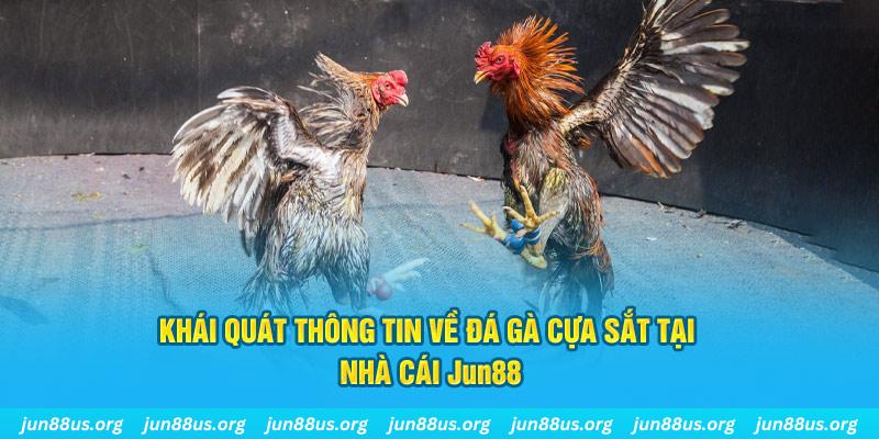 95win game bài trên máy tính