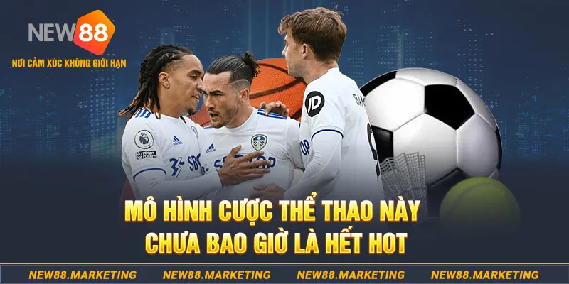 95win gà chọi c1 thomo