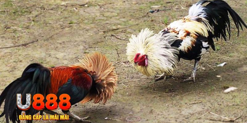95win game nổ hũ là gì