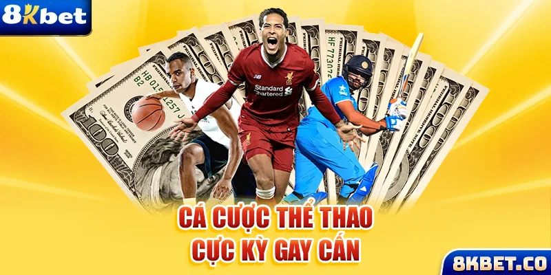 95win Bữa tiệc dành cho thanh thiếu niên